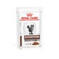 ROYAL CANIN Veterinary Diet Cat Gastrointestinal Moderate Calorie Pouch 12x85g