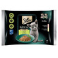 SHEBA KittenvVýběr příchutí v omáčce 4x85g mokré krmivo s lososem a kuřecím masem pro koťata