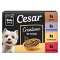 CESAR Creations Smíšené příchutě (hovězí, kuřecí, jehněčí, krůtí) 24 x 100 g mokré krmivo pro dospělé psy