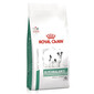 ROYAL CANIN VHN Dog Glycobalance Small 8 kg dietní krmivo pro psy malých plemen s cukrovkou