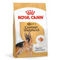 ROYAL CANIN German Shepherd Adult 15 kg karma sucha dla psów dorosłych rasy owczarek niemiecki