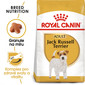 ROYAL CANIN Jack Russell Adult 1.5 kg granule pro dospělého jack russell teriéra