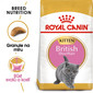 ROYAL CANIN British Shorthair Kitten 400g granule pro britská krátkosrstá koťata