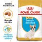 ROYAL CANIN French Bulldog Puppy 10 kg granule pro štěně francouzského buldočka